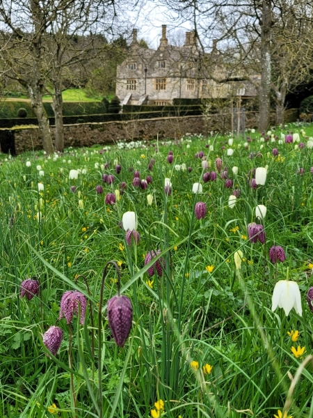 Upton Wold